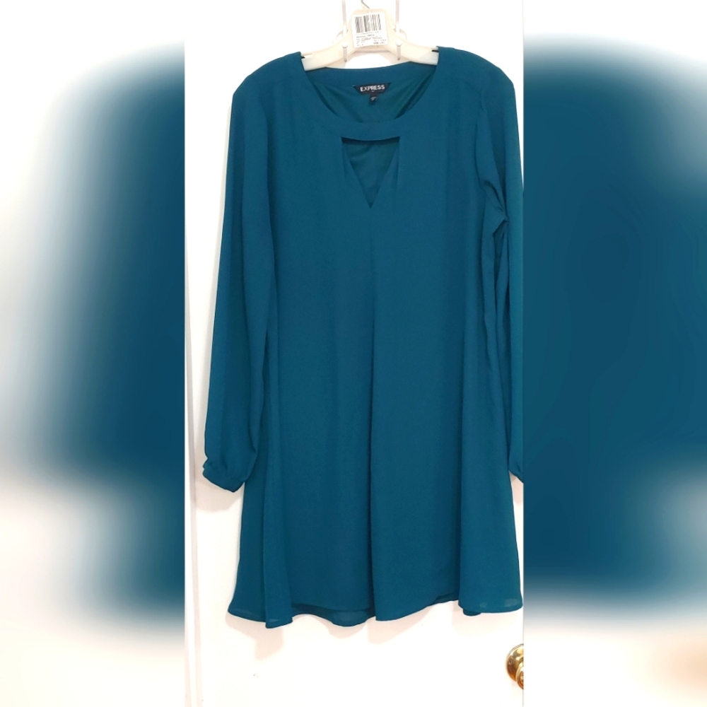 Express Swing dress size Med
